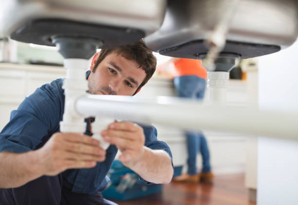 Best Clogged Drain Plumber  in Cross Plains, WI