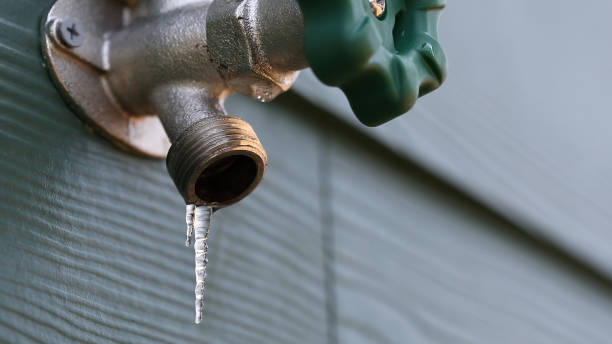 Best Sewer Line Repair  in Cross Plains, WI
